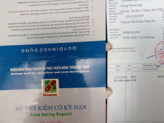 Ảnh bìa bài viết 287698