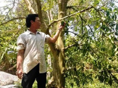 Ảnh bìa bài viết 287786