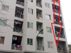 Ảnh bìa bài viết 287941