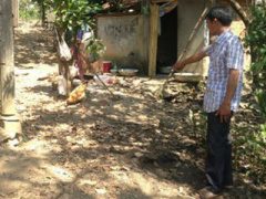 Ảnh bìa bài viết 287967