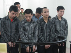 Ảnh bìa bài viết 287917