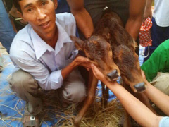 Ảnh bìa bài viết 288089