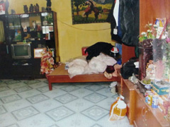 Ảnh bìa bài viết 288201