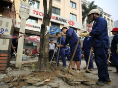 Ảnh bìa bài viết 288229