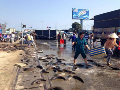 Ảnh bìa bài viết 288068