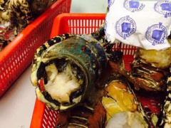 Ảnh bìa bài viết 288156