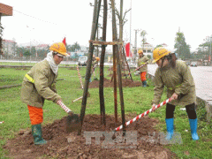 Ảnh bìa bài viết 288456