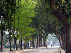 Ảnh bìa bài viết 288418