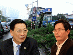 Ảnh bìa bài viết 288447