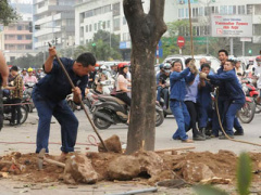 Ảnh bìa bài viết 288478