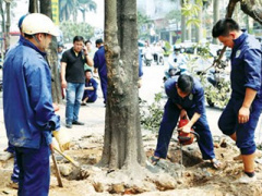 Ảnh bìa bài viết 288460