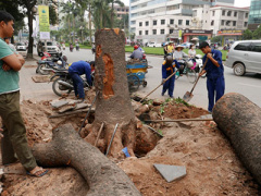Ảnh bìa bài viết 288566