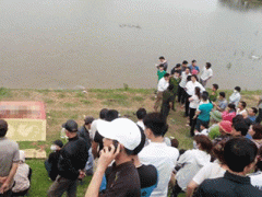 Ảnh bìa bài viết 288646