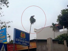 Ảnh bìa bài viết 288485