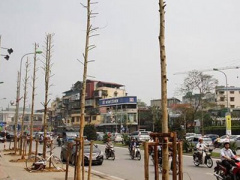 Ảnh bìa bài viết 288737