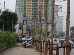 Ảnh bìa bài viết 288843