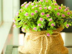 Ảnh bìa bài viết 288781