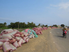 Ảnh bìa bài viết 288789