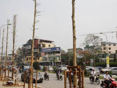Ảnh bìa bài viết 288803