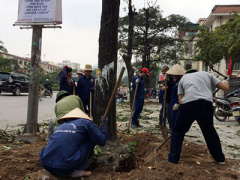 Ảnh bìa bài viết 288859