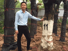 Ảnh bìa bài viết 289067