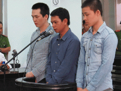 Ảnh bìa bài viết 289066
