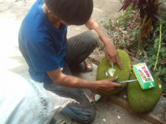 Ảnh bìa bài viết 288962
