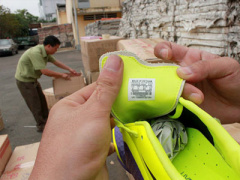 Ảnh bìa bài viết 289202
