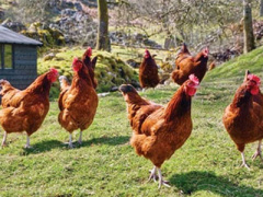 Ảnh bìa bài viết 289222