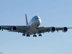 Ảnh bìa bài viết 289252