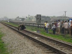 Ảnh bìa bài viết 289176