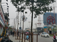 Ảnh bìa bài viết 289465