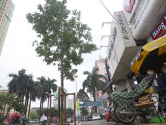 Ảnh bìa bài viết 289373
