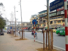 Ảnh bìa bài viết 289340
