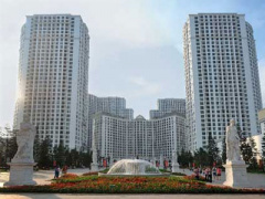 Ảnh bìa bài viết 289395