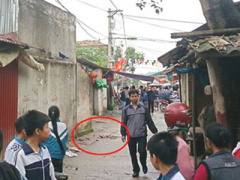 Ảnh bìa bài viết 289389