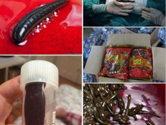 Ảnh bìa bài viết 289482