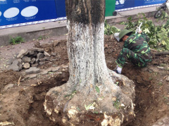 Ảnh bìa bài viết 289756