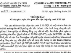 Ảnh bìa bài viết 289794