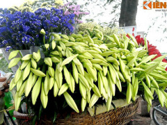 Ảnh bìa bài viết 289688