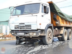 Ảnh bìa bài viết 290174