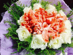 Ảnh bìa bài viết 290244