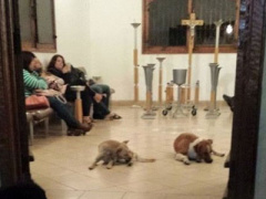 Ảnh bìa bài viết 290227