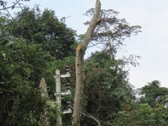 Ảnh bìa bài viết 290264
