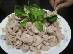 Ảnh bìa bài viết 290378