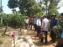 Ảnh bìa bài viết 290426