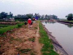 Ảnh bìa bài viết 290555
