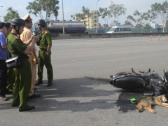 Ảnh bìa bài viết 290475