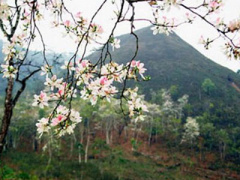 Ảnh bìa bài viết 290909