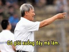Ảnh bìa bài viết 291055